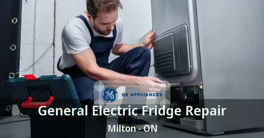 General Electric Fridge Repair Milton - ON