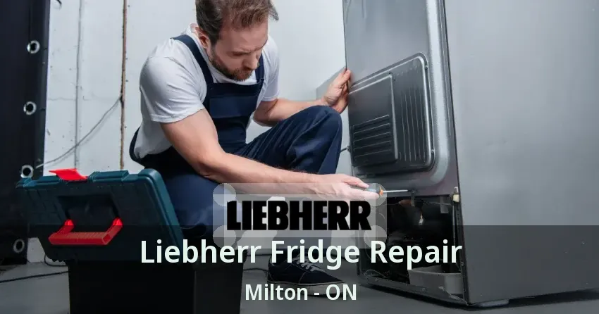 Liebherr Fridge Repair Milton - ON