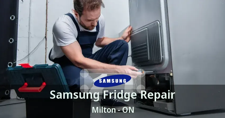 Samsung Fridge Repair Milton - ON