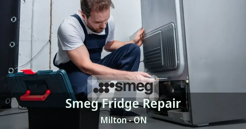 Smeg Fridge Repair Milton - ON