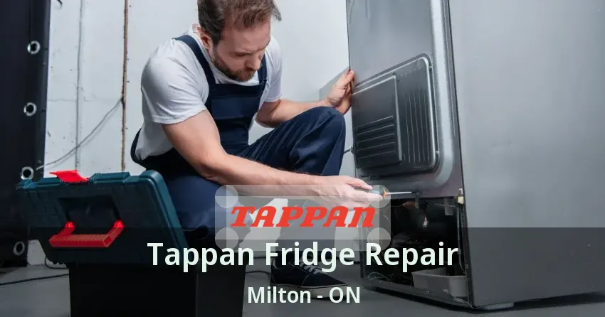 Tappan Fridge Repair Milton - ON