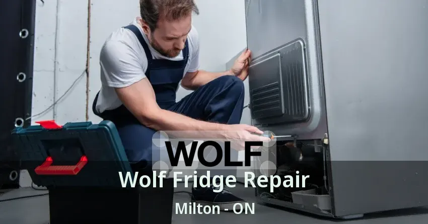 Wolf Fridge Repair Milton - ON