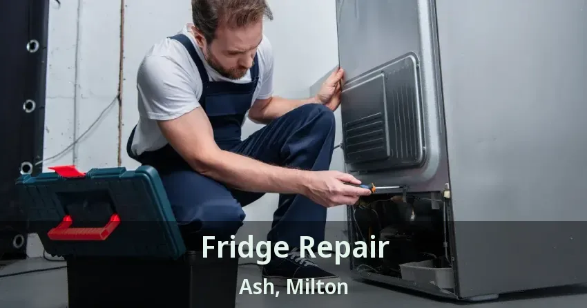 Fridge Repair Ash, Milton - ON
