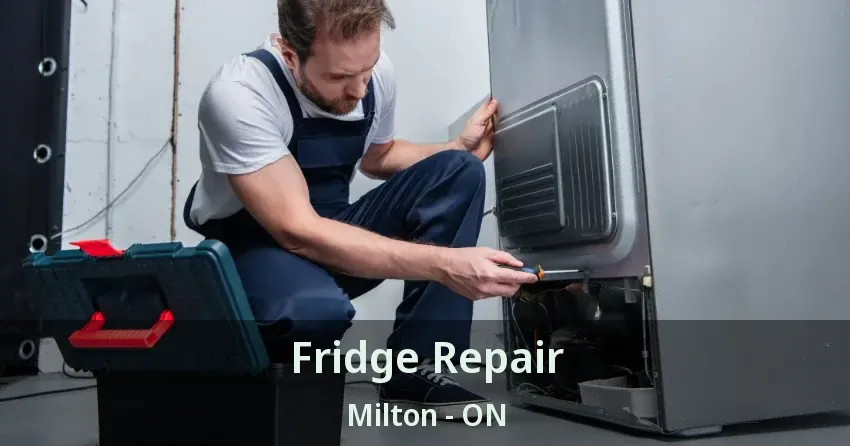 Fridge Repair Milton - ON