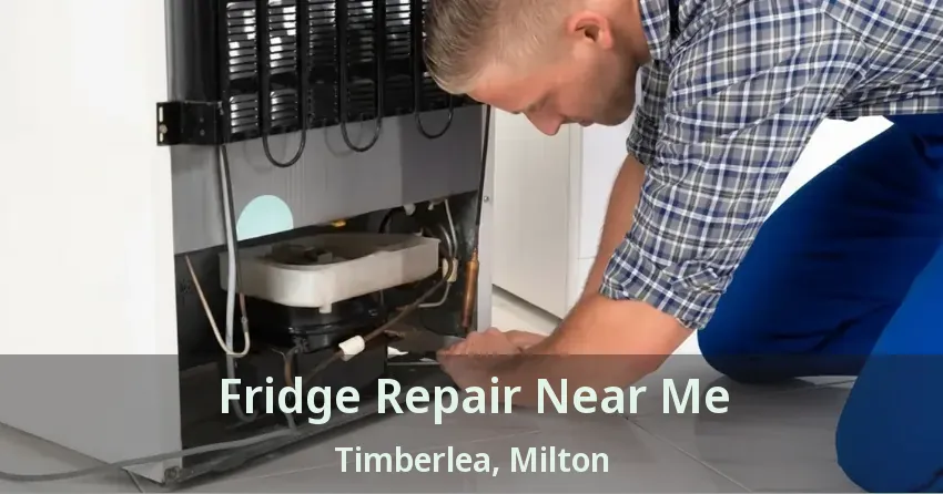 Fridge Repair Near Me Timberlea, Milton - ON