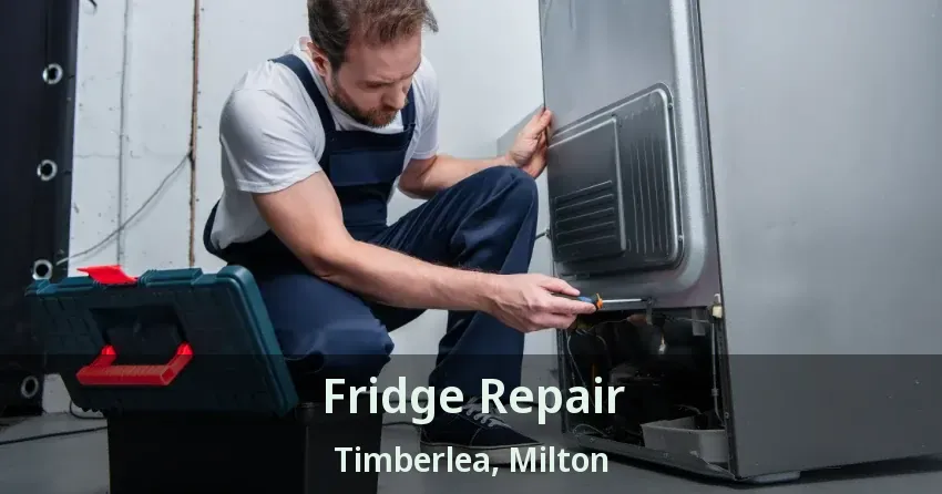 Fridge Repair Timberlea, Milton - ON