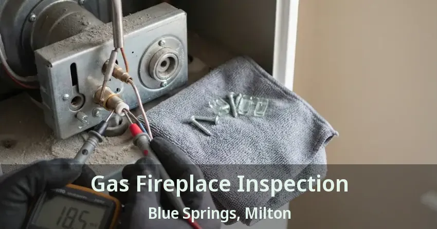 Gas Fireplace Inspection Blue Springs, Milton - ON