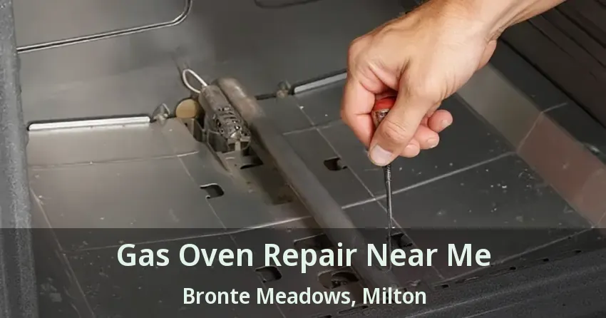 Gas Oven Repair Near Me Bronte Meadows, Milton - ON