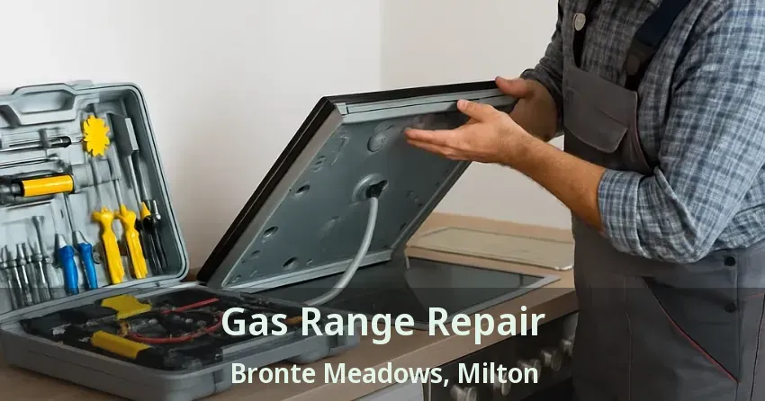 Gas Range Repair Bronte Meadows, Milton - ON