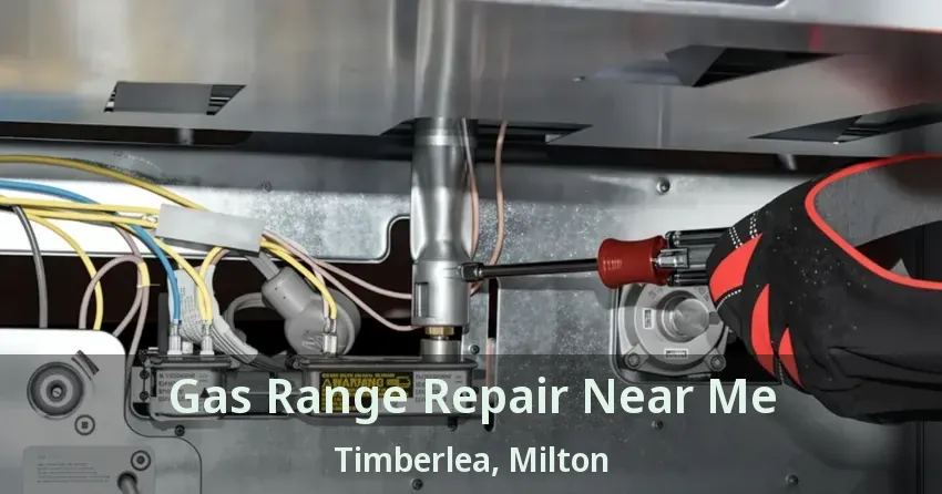 Gas Range Repair Near Me Timberlea, Milton - ON