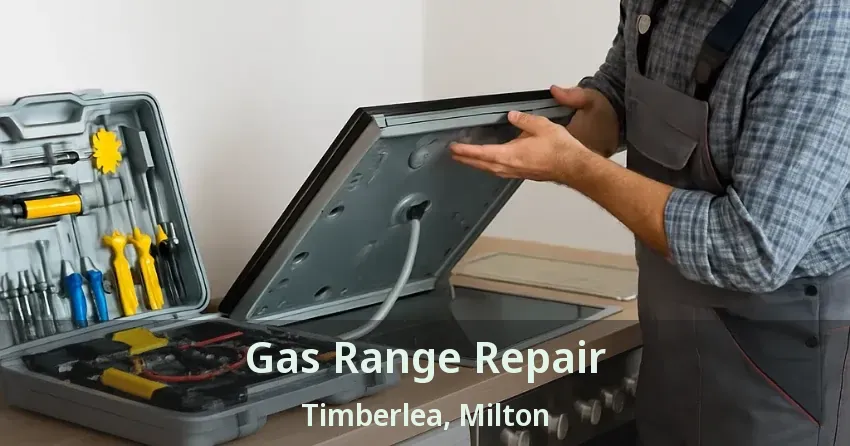 Gas Range Repair Timberlea, Milton - ON