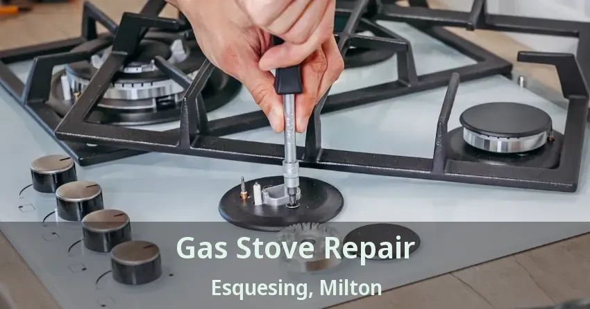 Gas Stove Repair Esquesing, Milton - ON