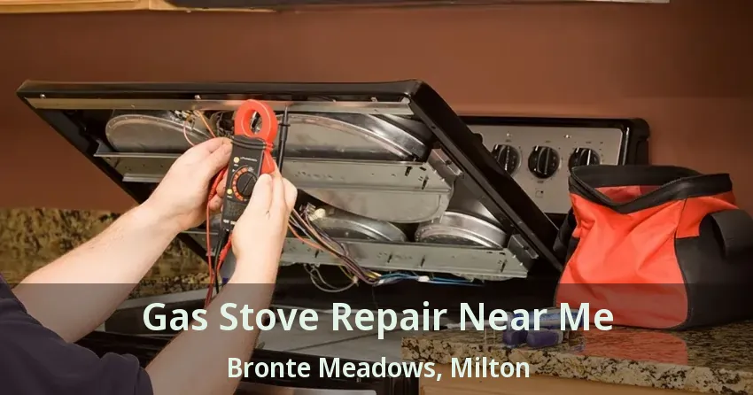 Gas Stove Repair Near Me Bronte Meadows, Milton - ON