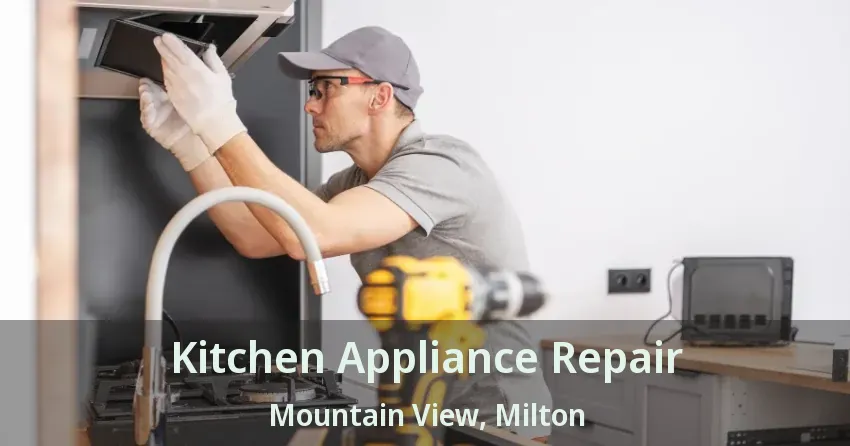 Kitchen Appliance Repair Mountain View, Milton - ON
