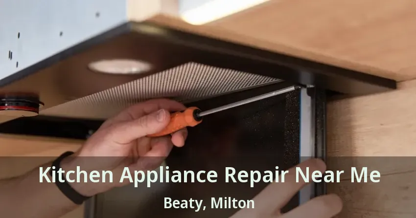 Kitchen Appliance Repair Near Me Beaty, Milton - ON