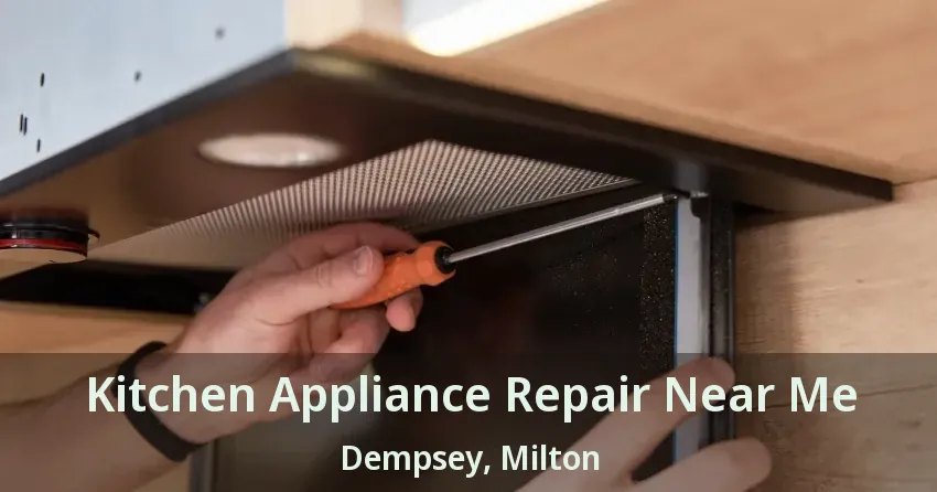 Kitchen Appliance Repair Near Me Dempsey, Milton - ON