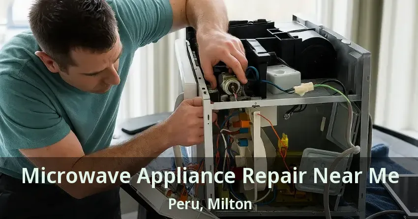 Microwave Appliance Repair Near Me Peru, Milton - ON