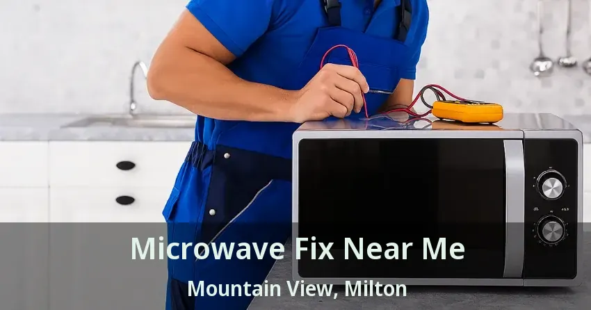 Microwave Fix Near Me Mountain View, Milton - ON