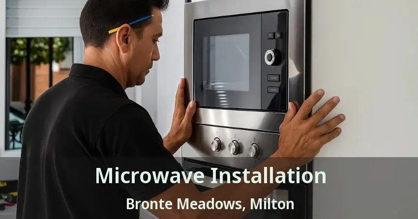 Microwave Installation Bronte Meadows, Milton - ON