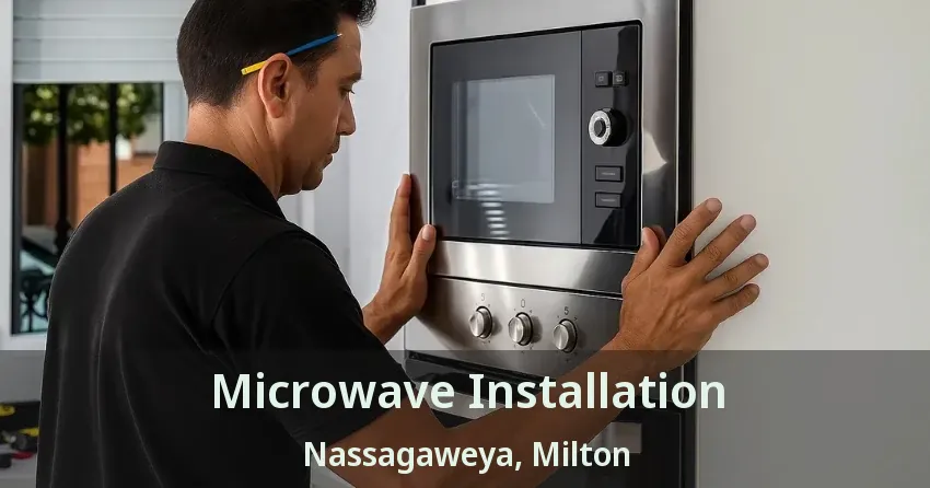 Microwave Installation Nassagaweya, Milton - ON