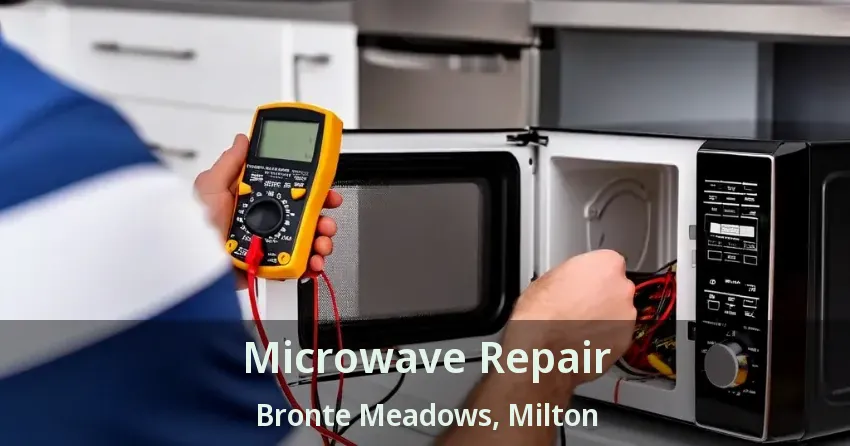 Microwave Repair Bronte Meadows, Milton - ON