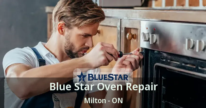 Blue Star Oven Repair Milton - ON