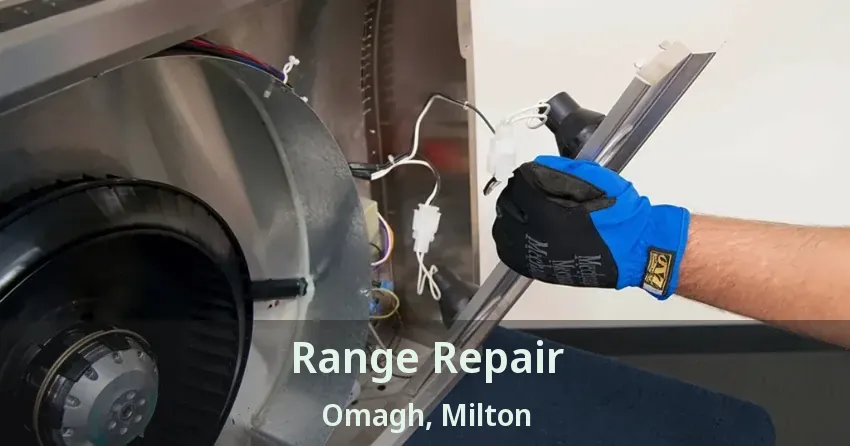 Range Repair Omagh, Milton - ON