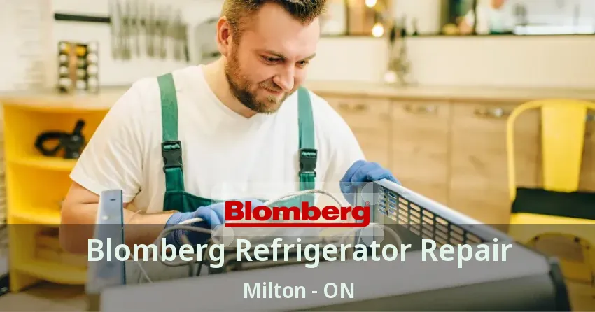 Blomberg Refrigerator Repair Milton - ON