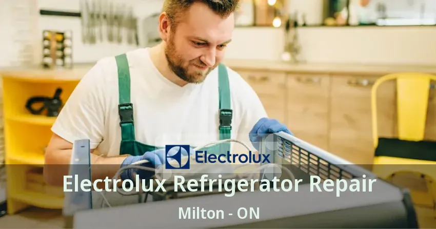 Electrolux Refrigerator Repair Milton - ON