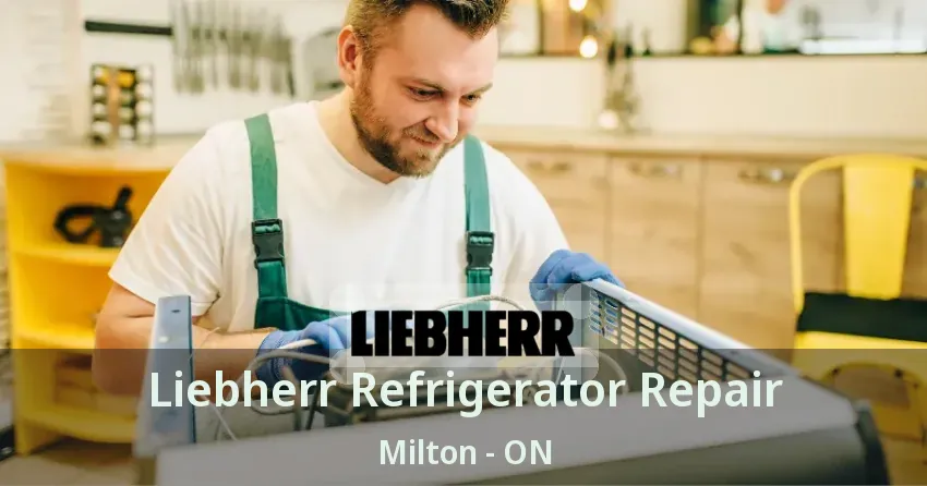 Liebherr Refrigerator Repair Milton - ON