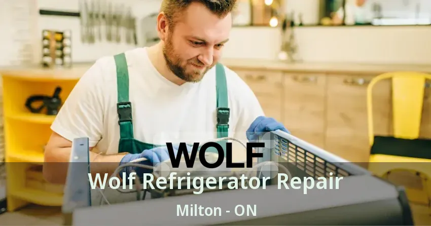 Wolf Refrigerator Repair Milton - ON