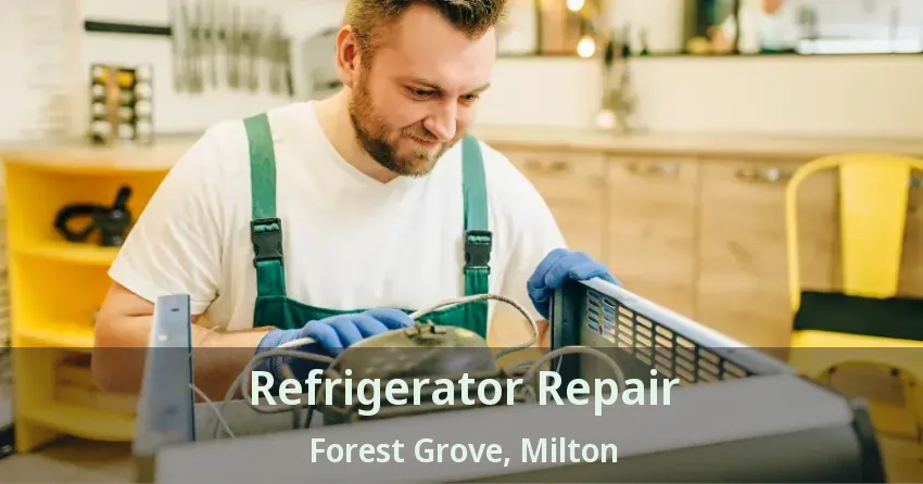 Refrigerator Repair Forest Grove, Milton - ON