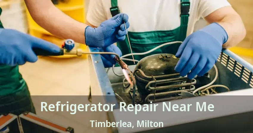 Refrigerator Repair Near Me Timberlea, Milton - ON