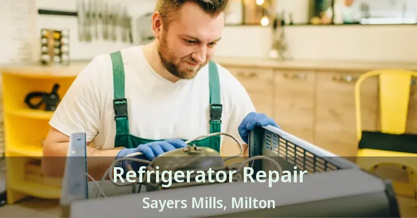 Refrigerator Repair Sayers Mills, Milton - ON