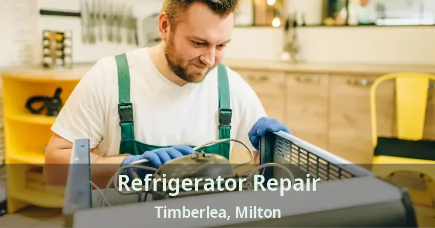 Refrigerator Repair Timberlea, Milton - ON