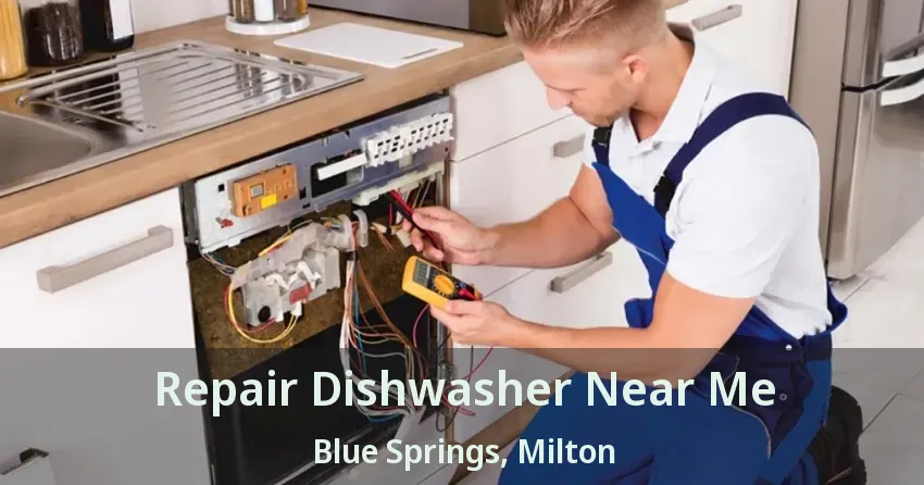 Repair Dishwasher Near Me Blue Springs, Milton - ON