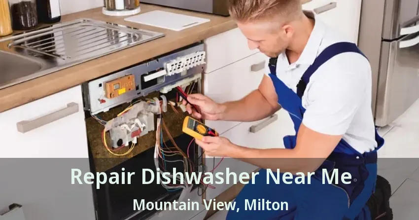 Repair Dishwasher Near Me Mountain View, Milton - ON