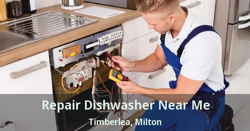 Repair Dishwasher Near Me Timberlea, Milton - ON