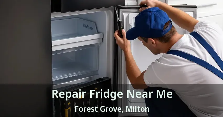 Repair Fridge Near Me Forest Grove, Milton - ON