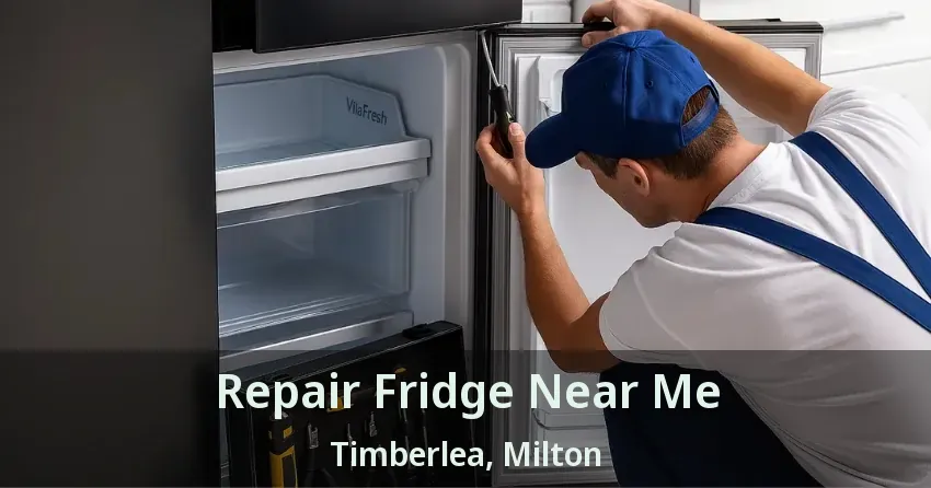 Repair Fridge Near Me Timberlea, Milton - ON