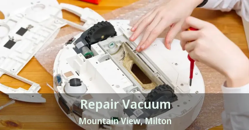 Repair Vacuum Mountain View, Milton - ON