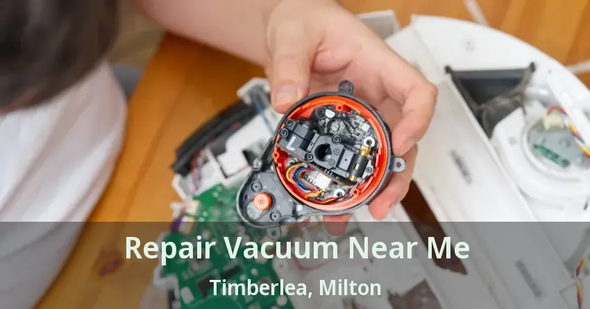 Repair Vacuum Near Me Timberlea, Milton - ON