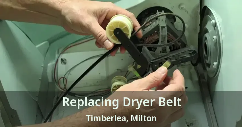 Replacing Dryer Belt Timberlea, Milton - ON