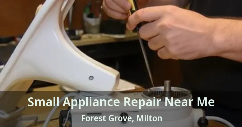Small Appliance Repair Near Me Forest Grove, Milton - ON