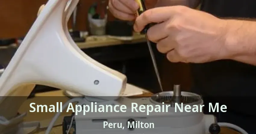 Small Appliance Repair Near Me Peru, Milton - ON