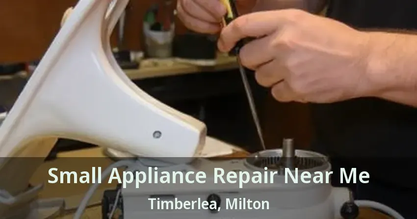 Small Appliance Repair Near Me Timberlea, Milton - ON