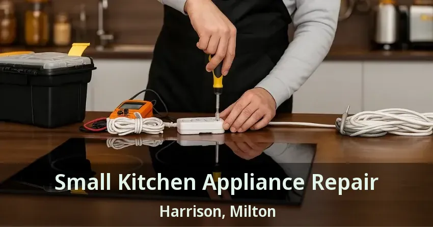Small Kitchen Appliance Repair Harrison, Milton - ON