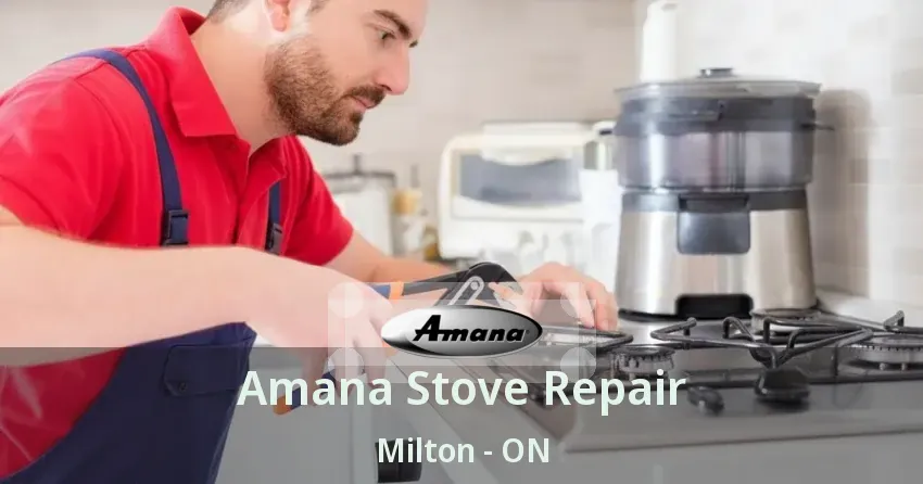 Amana Stove Repair Milton - ON