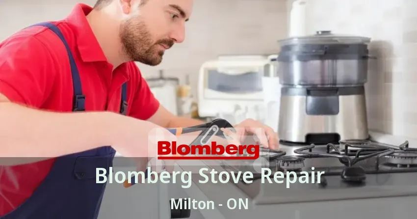 Blomberg Stove Repair Milton - ON