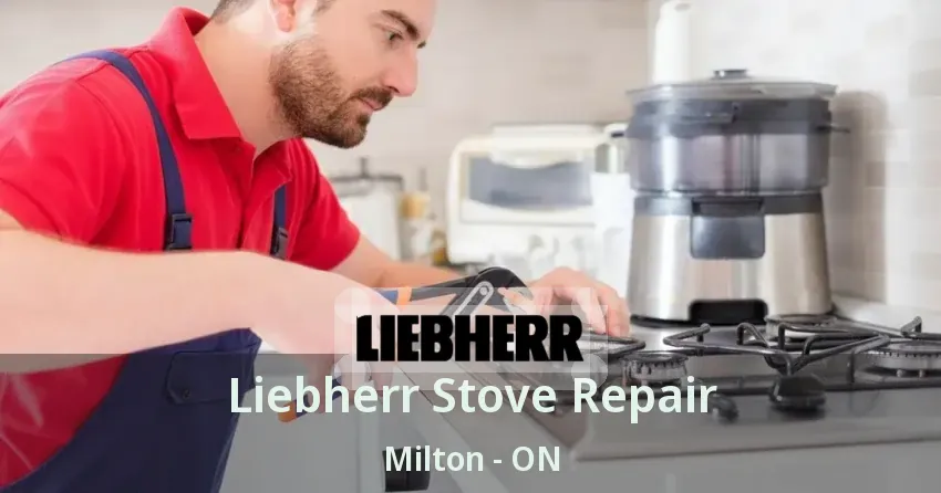 Liebherr Stove Repair Milton - ON